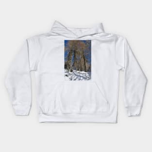 Snowy Trees on Monte Lussari Kids Hoodie